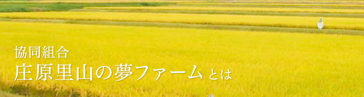 里山の夢 - 日本一のお米